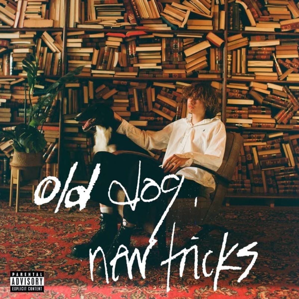 old dog, new tricks (LP) [Explicit]