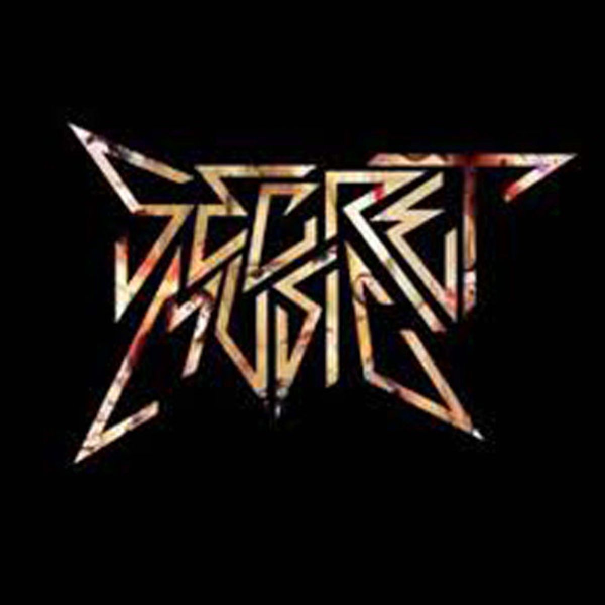 Secret Music (CD)