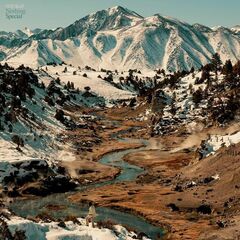 Nothing Special [Sky Blue Vinyl] (LP)