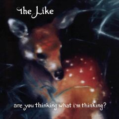 Are You Thinking What I'm Thinking? [180 Gram Vinyl] (LP)