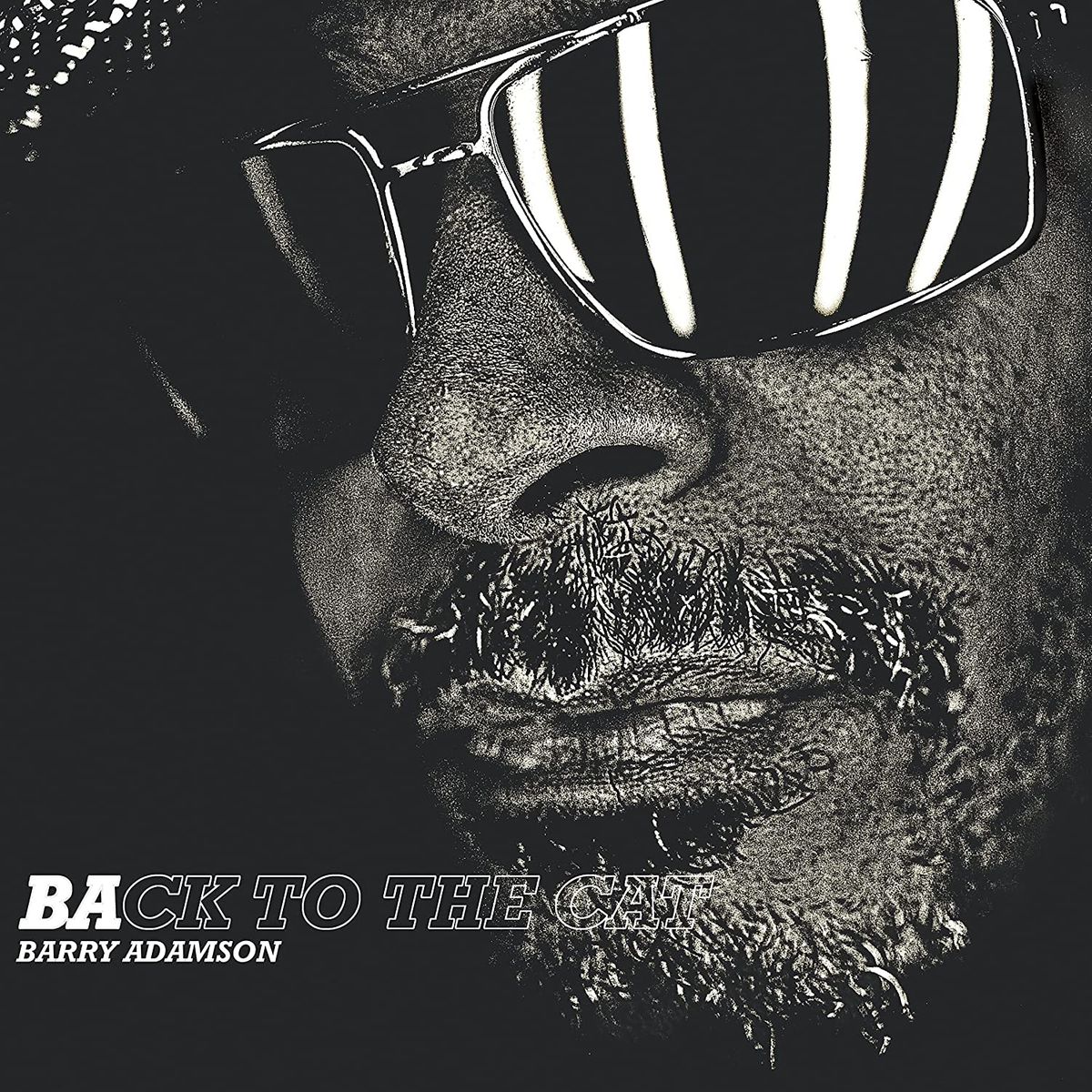 Back To The Cat [Clear Vinyl] (LP)