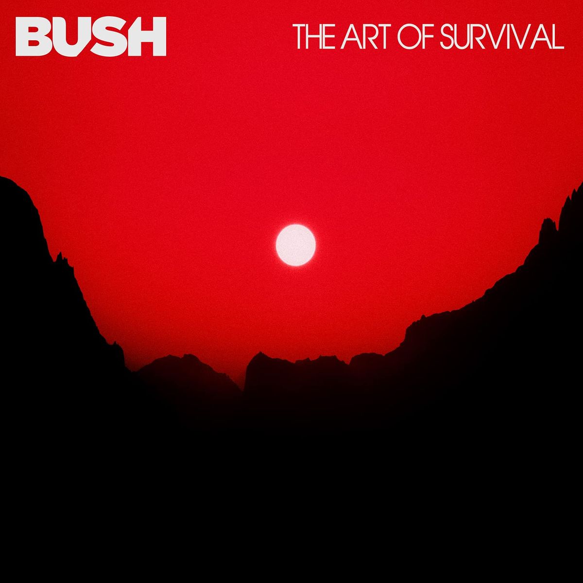 The Art Of Survival (CD)
