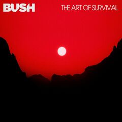 The Art Of Survival (CD)