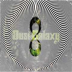 Dust Galaxy (CD)