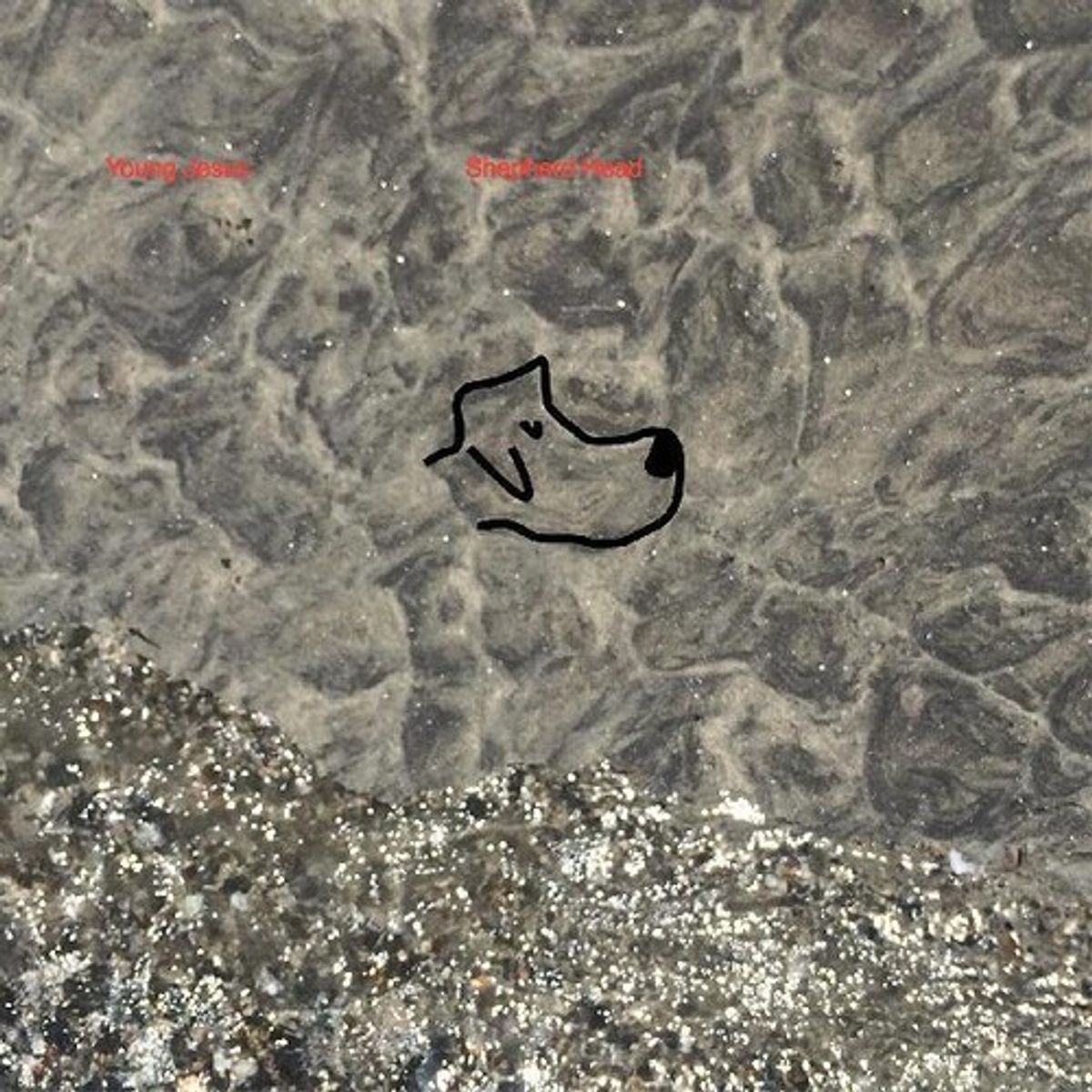 Shepherd Head (LP)