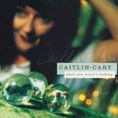 While You Weren't Looking [20th Anniversary Edition] (LP)