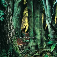 Manafon (LP)