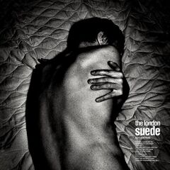 Autofiction [Grey Vinyl] (LP)