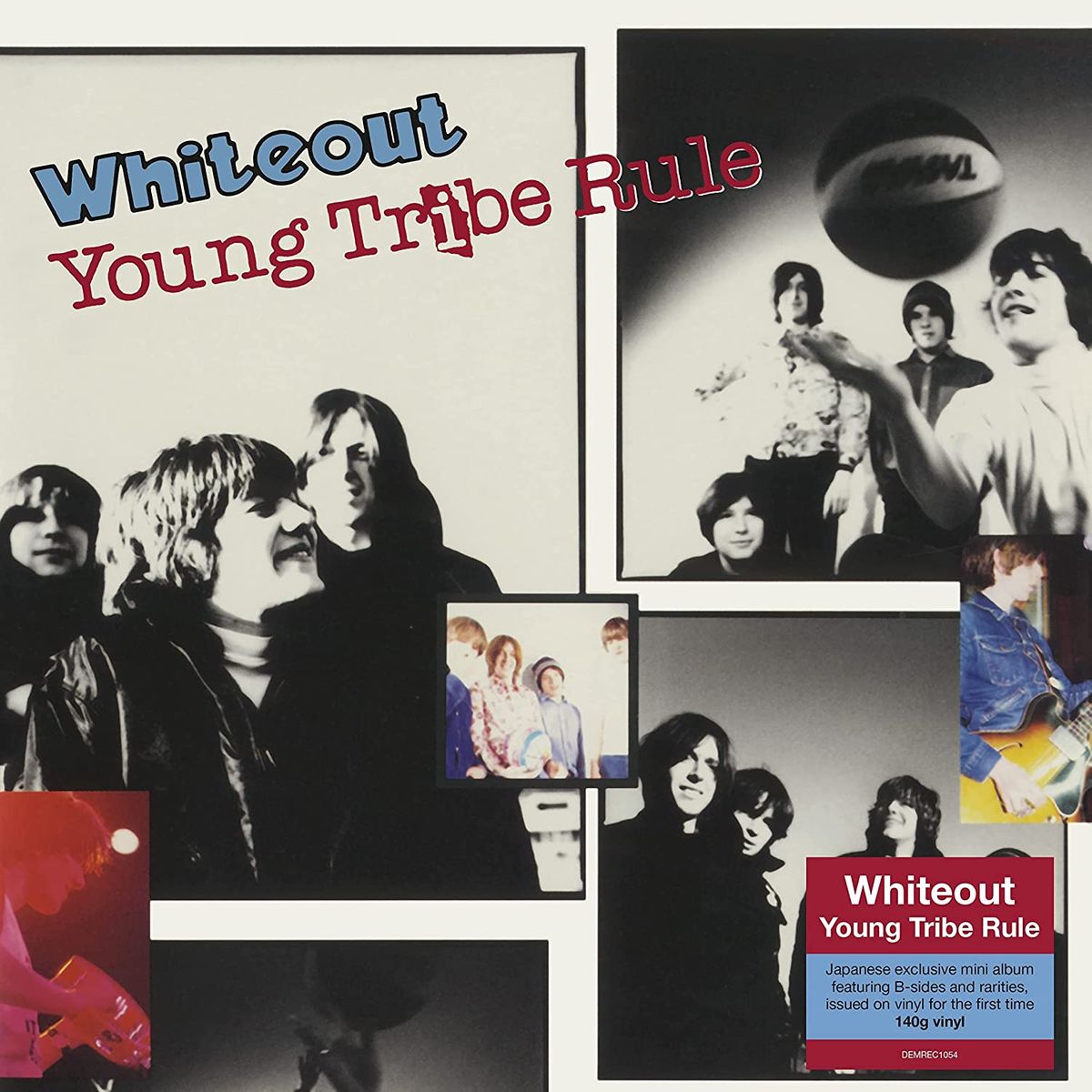 Young Tribe Rule (LP)