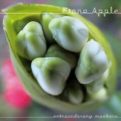 Extraordinary Machine (CD)