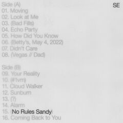No Rules Sandy (CD)