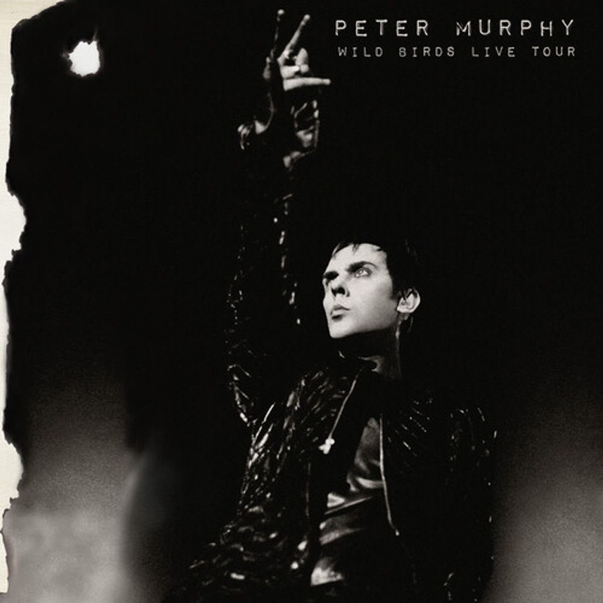 Wild Birds Live Tour (CD)