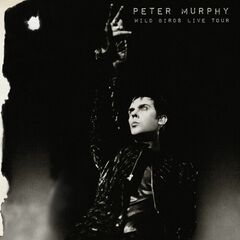 Wild Birds Live Tour (CD)