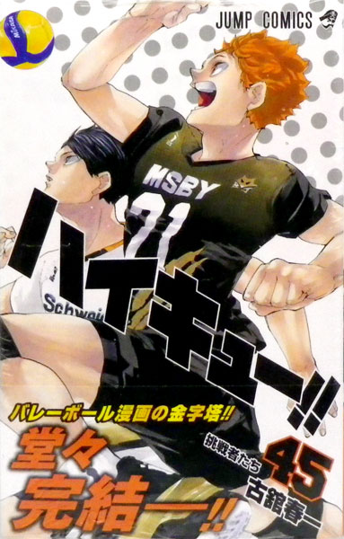 Haikyuu!! 45 (BOOK)