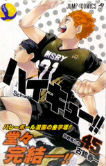 Haikyuu!! 45 (BOOK)