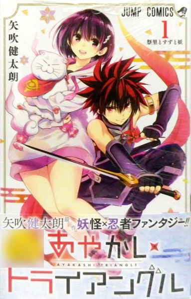 Ayakashi Triangle 1 (BOOK)