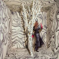 Revealer (CD)