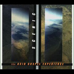 The Acid Gospel Experience (CD)