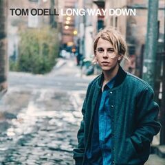 Long Way Down (CD)