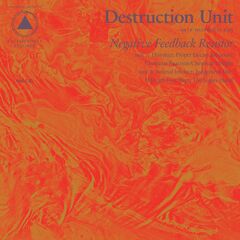 Negative Feedback Resistor (LP)