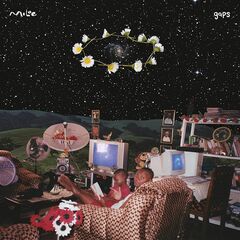 gaps (LP)