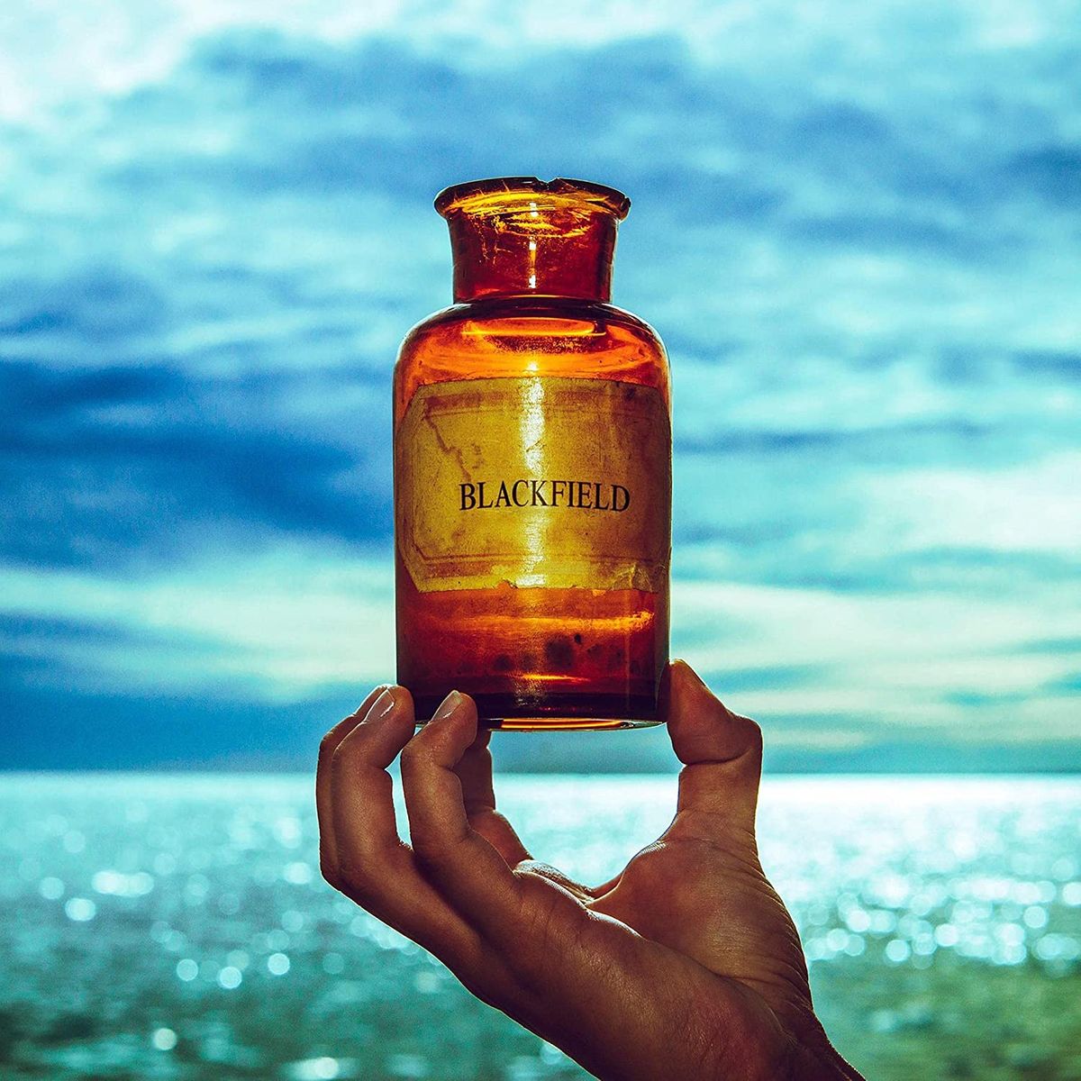 Blackfield V (LP)