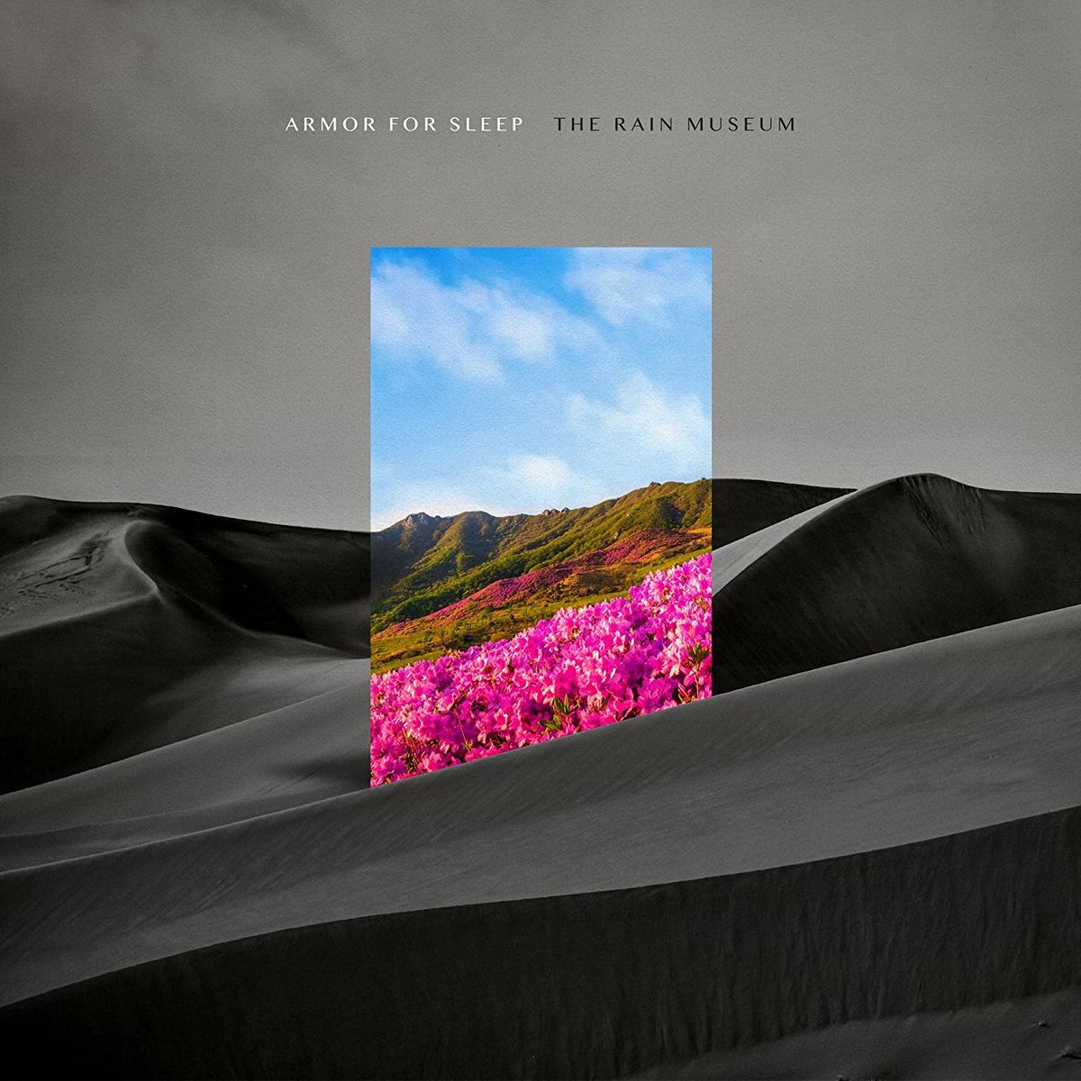 The Rain Museum (LP)