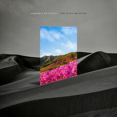 The Rain Museum (LP)