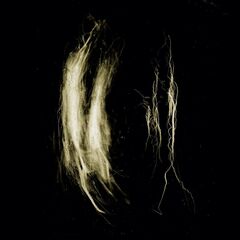Plague Notes, Unnamed, Unknown, A Finger Dragged Through Dust (LP)