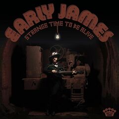 Strange Time To Be Alive [Brown Vinyl] (LP)
