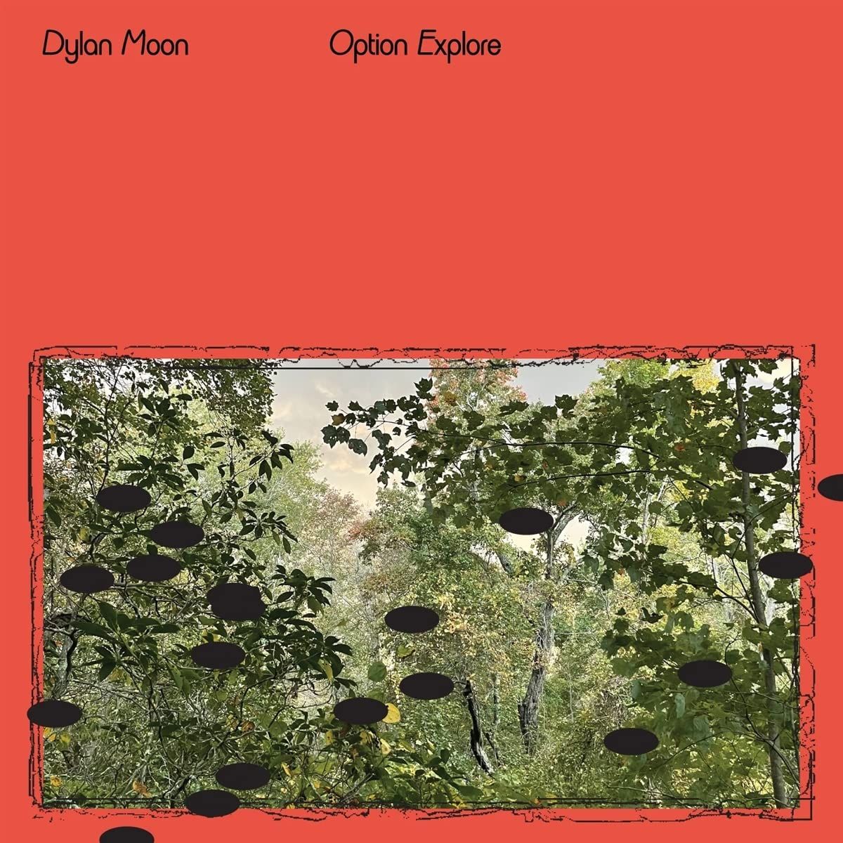 Option Explore (LP)