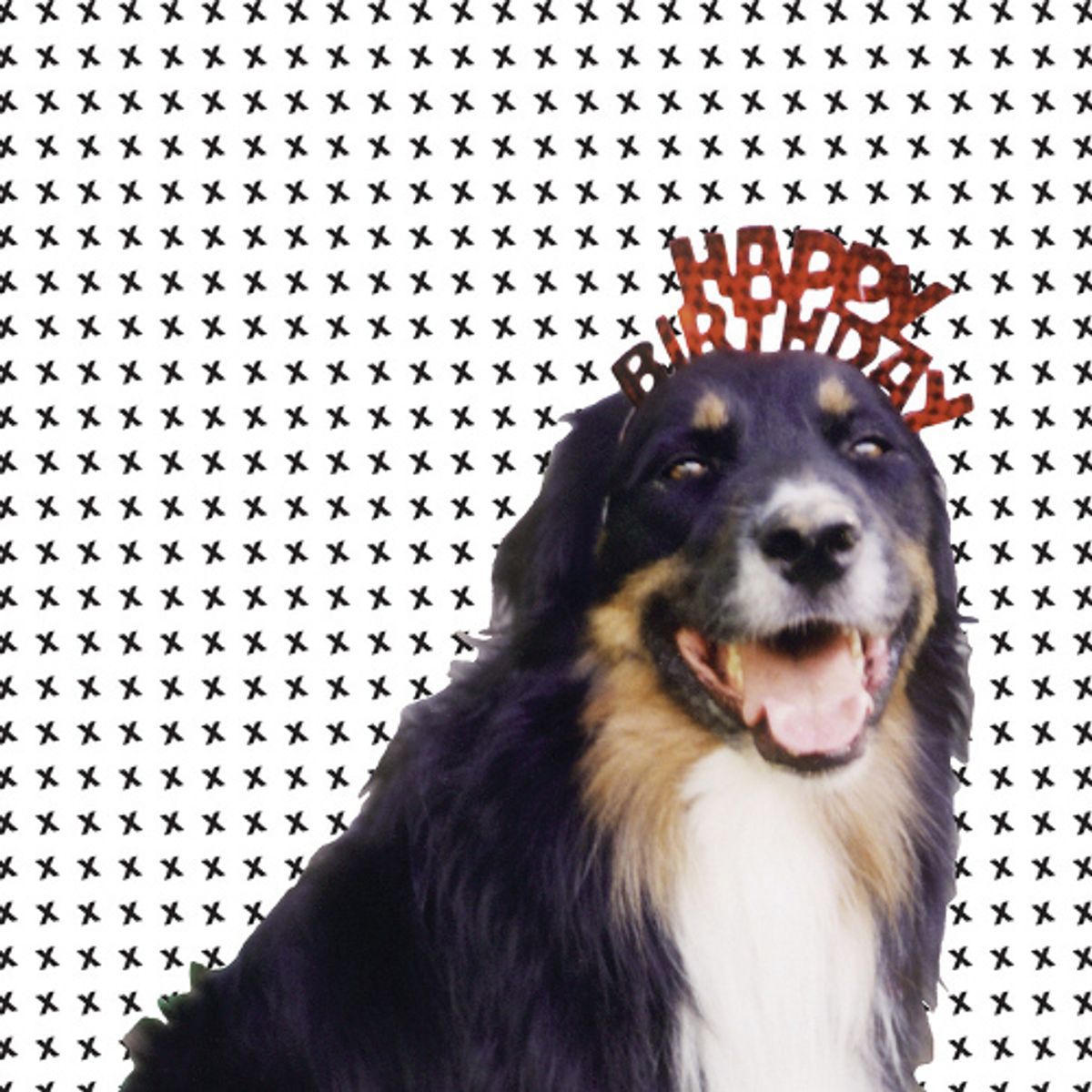 Mollies Mix (CD)