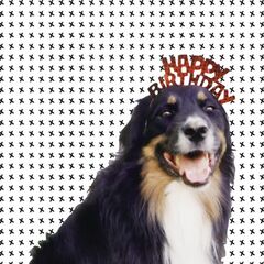 Mollie's Mix (CD)