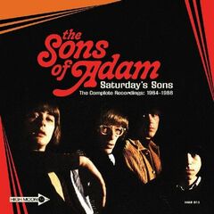 Saturday's Sons - The Complete Recordings: 1964 1966 (CD)