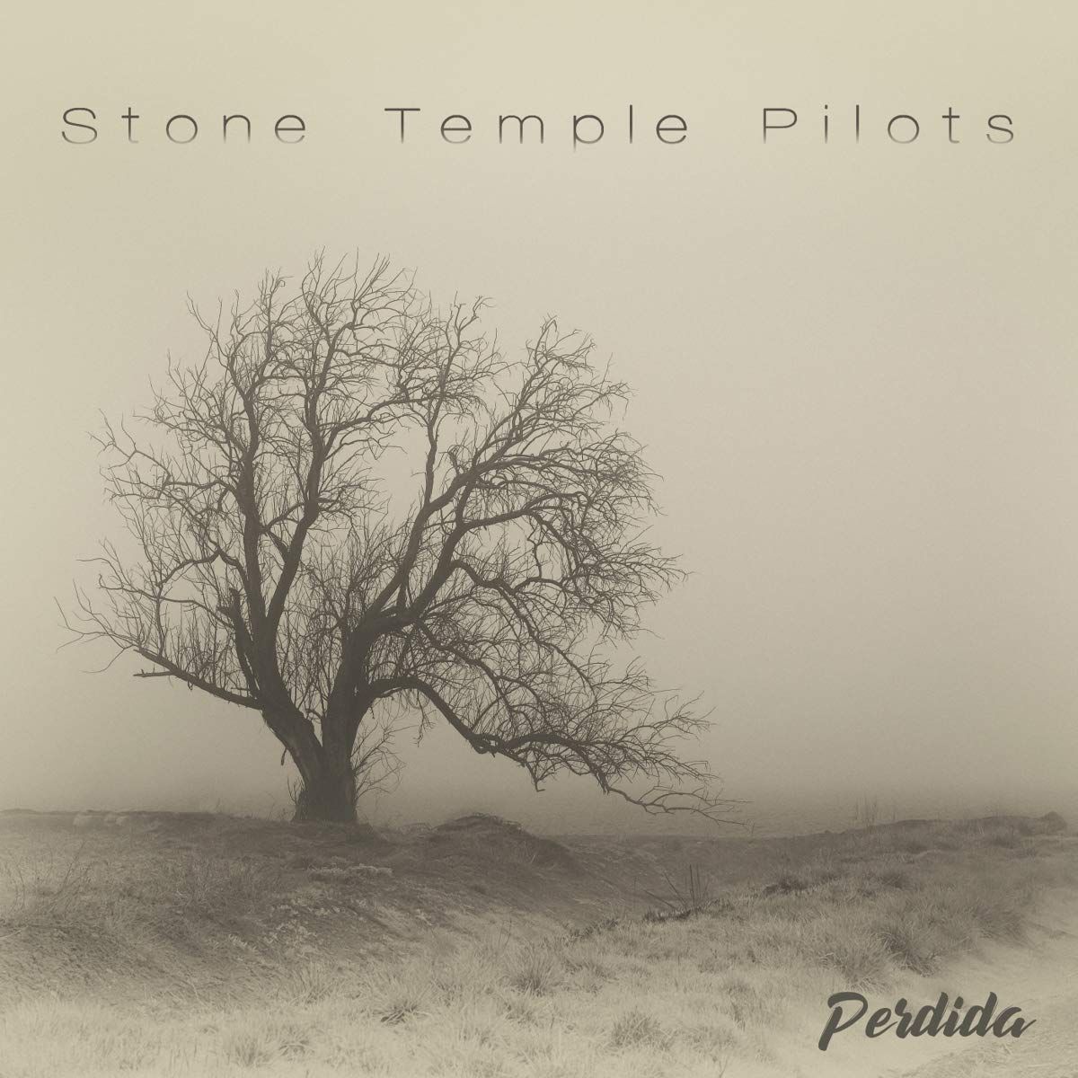 Perdida (CD)
