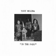 In The Fade (LP)