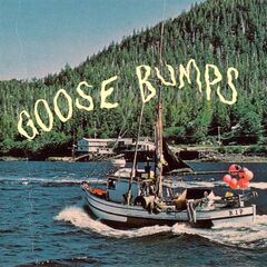 Goose Bumps [Dark Blue & Powder Blue Galaxy Vinyl] (LP)