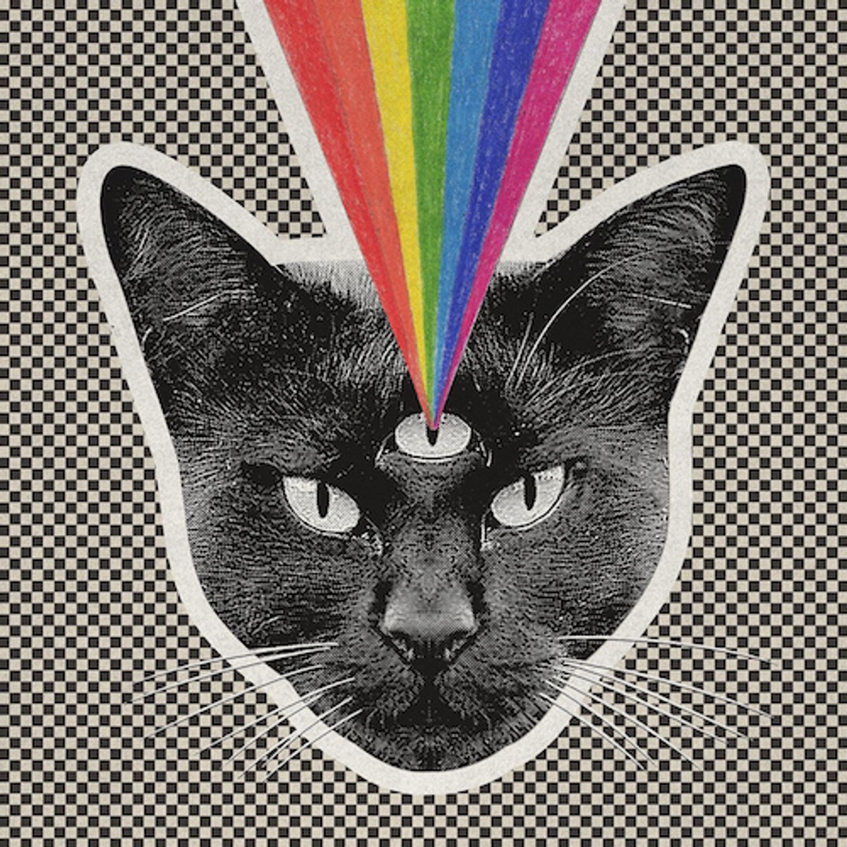 Black Cat (CD)