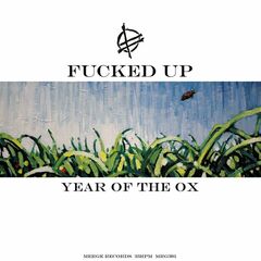 Year Of The Ox (12