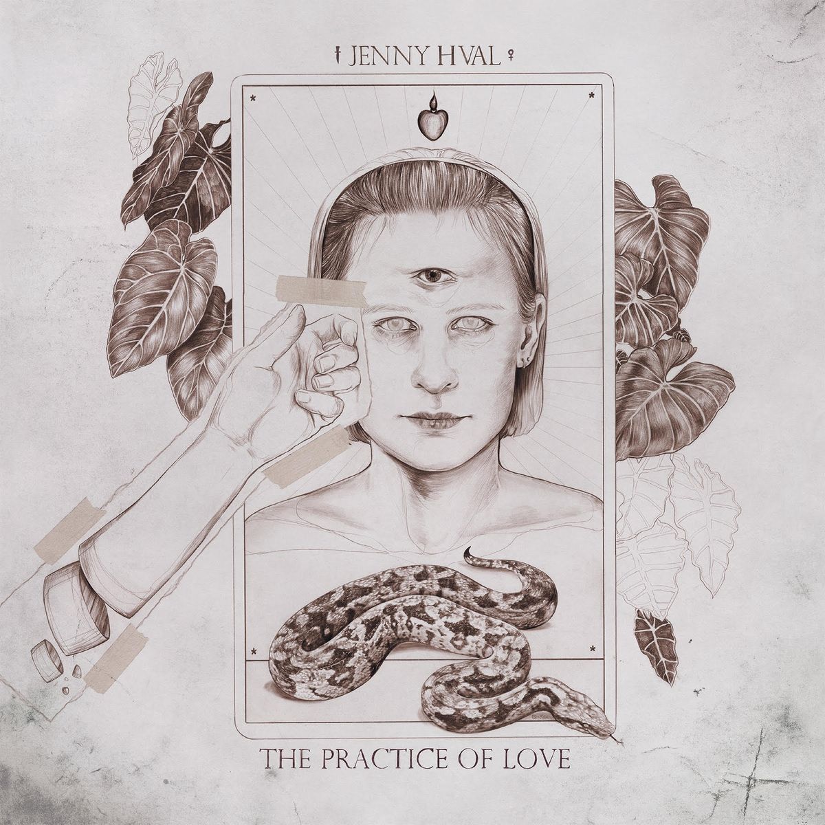 The Practice Of Love (LP)