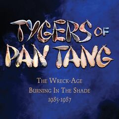 The Wreck-Age: Burning In The Shade 1985-1987 (CD)