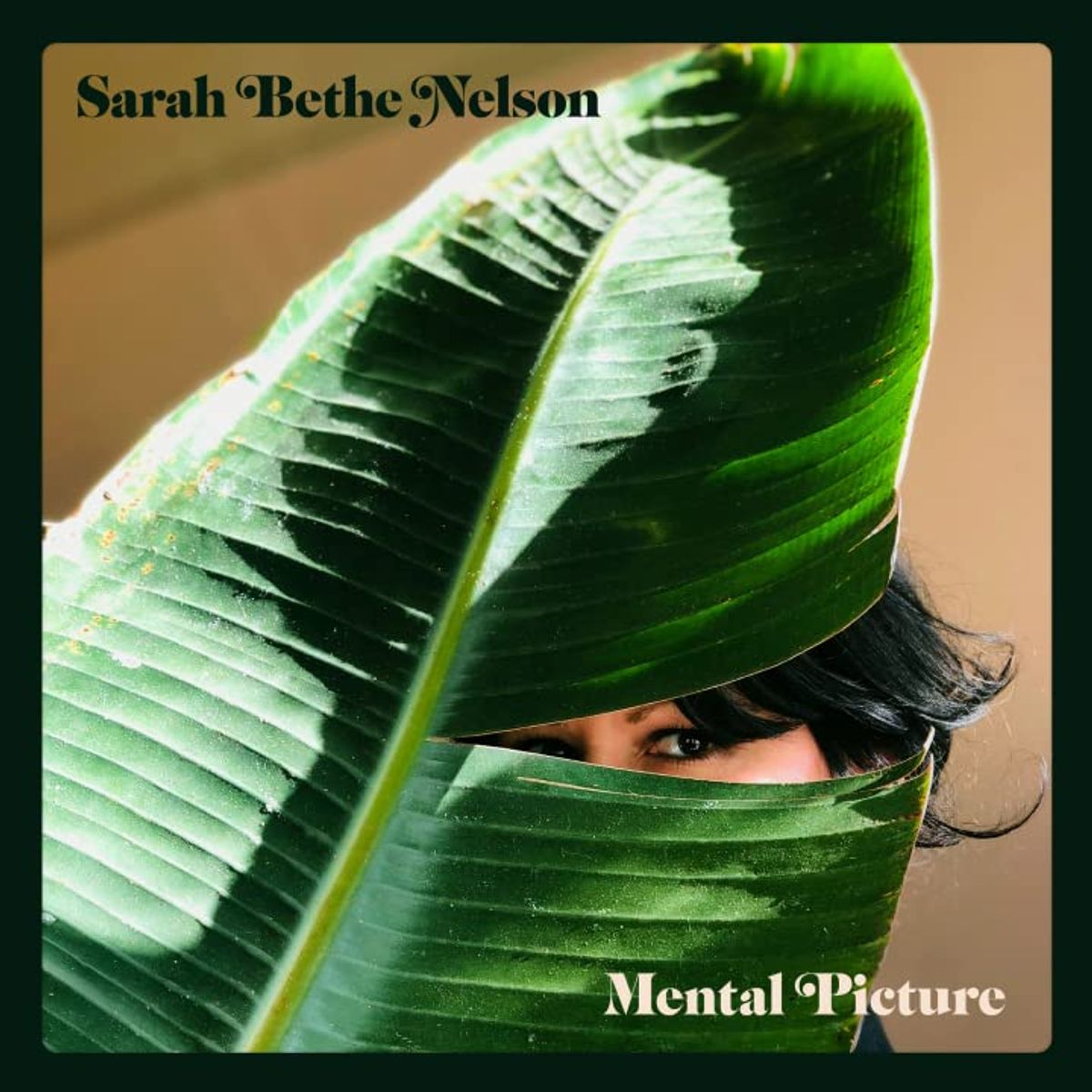 Mental Picture (LP)