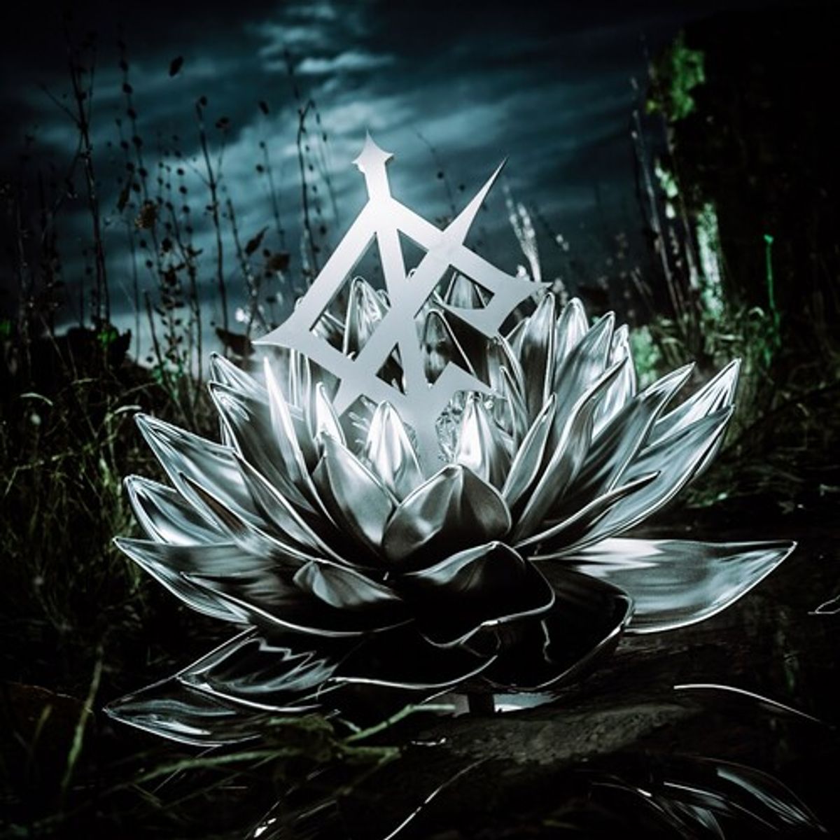 Darkbloom (CD)