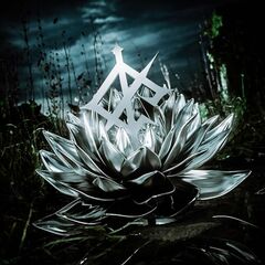Darkbloom (CD)