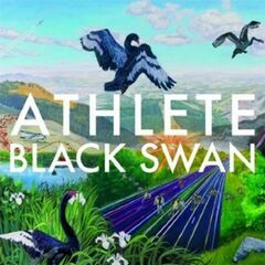 Black Swan (CD)