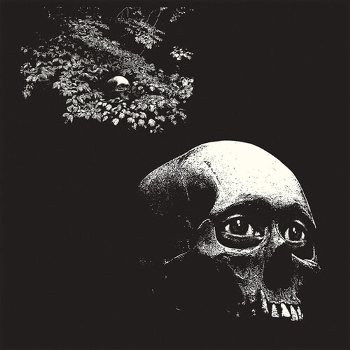 A Foul Form (LP)