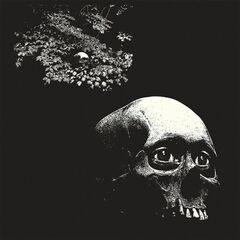 A Foul Form (LP)
