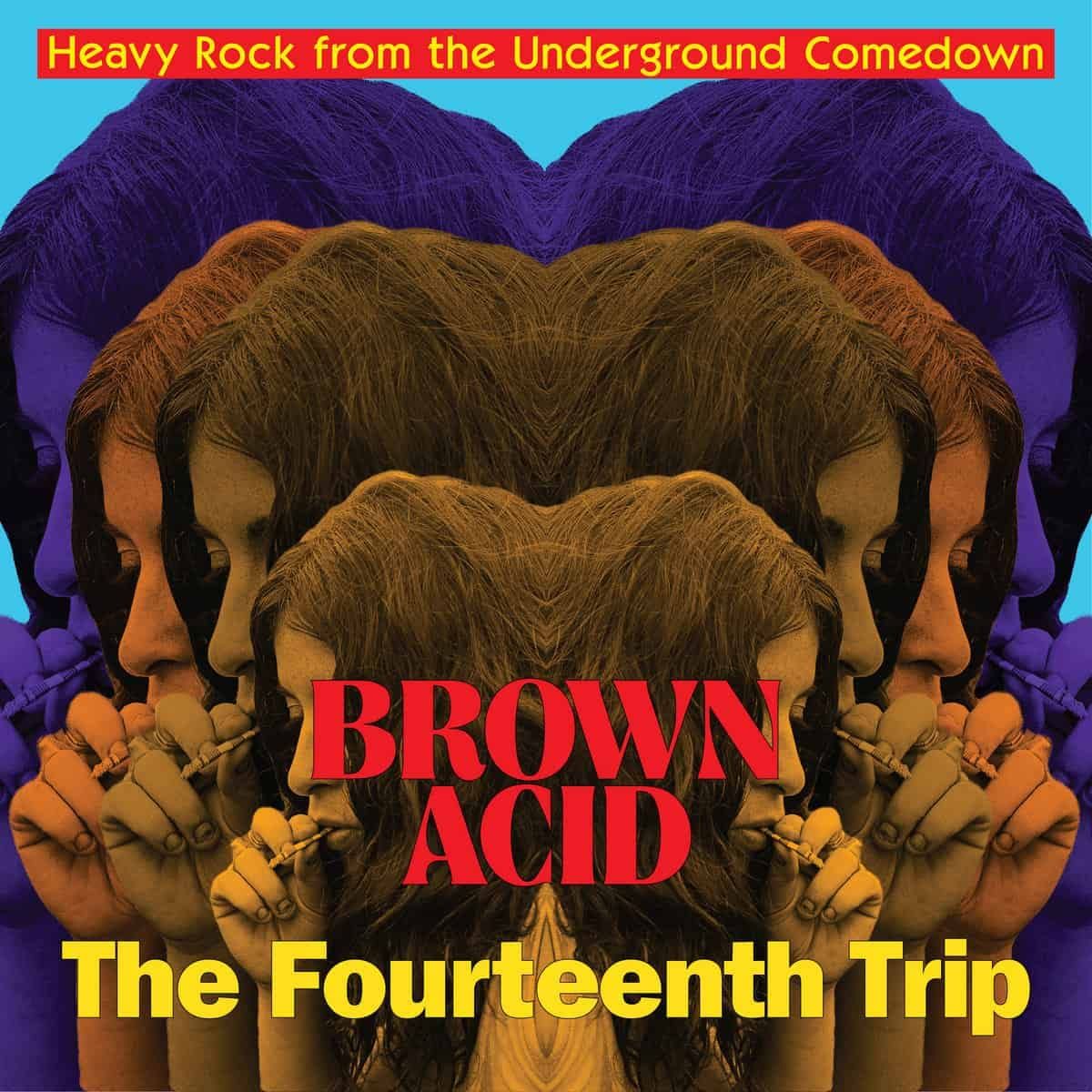 Brown Acid: The Fourteenth Trip (CD)