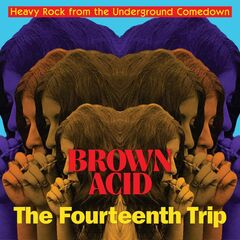 Brown Acid: The Fourteenth Trip (LP)