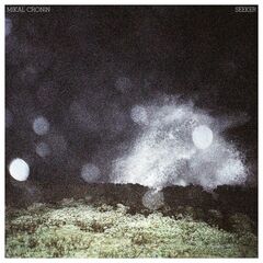 Seeker (LP)